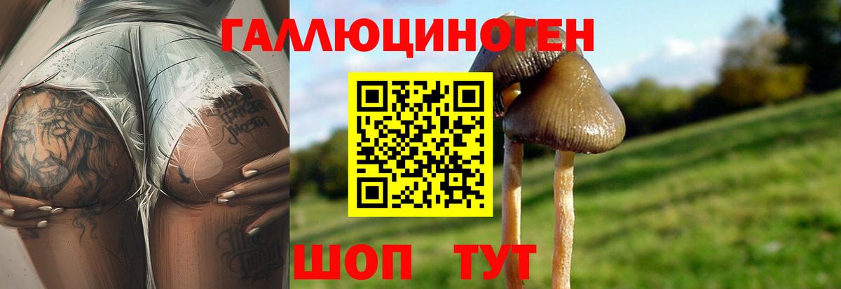 Псилоцибиновые грибы мухоморы Котельники
